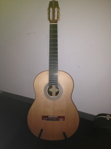 Litchfield C900 Guitar